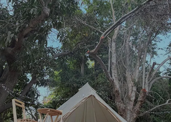Bajaroots Glamping